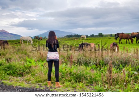 Woman taking pictures of Horses in Iceland landscape.