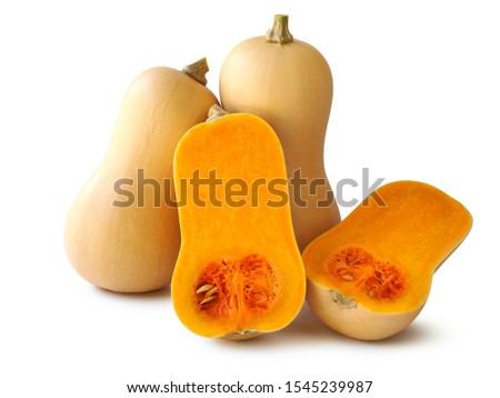 Butternut squash pumpkin cut in half   isolated on a white color background.