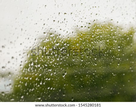 raindrops on the glass. Rainy weather. against the background of a blurred background of nature. Raindrops on the window on an autumn day. green tree on the background.