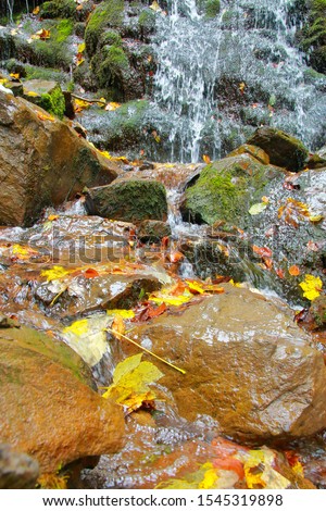 Photograph taken in the Carpathian mountains. The picture shows a clean stream in the mountains after autumn rain.