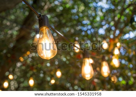 incandescent light bulb hanging In a garden. Royalty-Free Stock Photo #1545331958