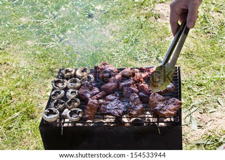 barbecue grilled meat outdoor