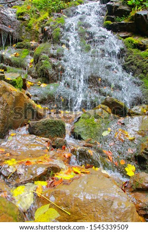 Photograph taken in the Carpathian mountains. The picture shows a clean stream in the mountains after autumn rain.