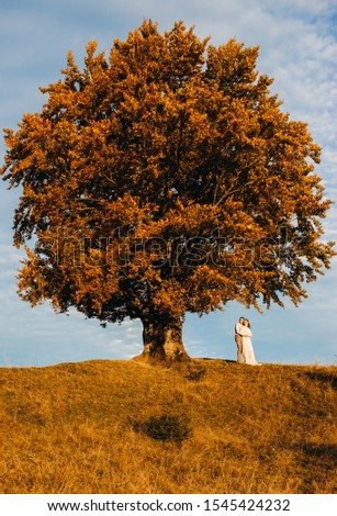 A loving couple stands under a majestic yellow tree in a mountainous area.  Autumn. Wedding in rustic style