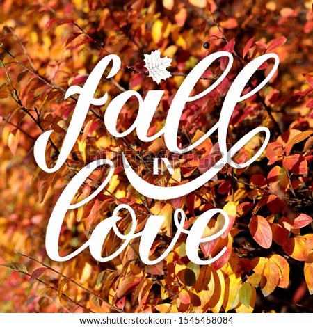 Fall in Love calligraphy hand lettering on blurred picture with colorful leaves. Cozy autumn mood concept. Autumnal garden on a sunny day. Bright fall background.