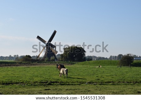 dutch wind mill painted by Piet Mondriaan near Aboude/Amsterdam 