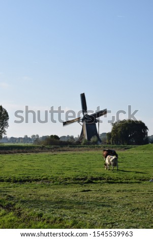 dutch landscape with wind mill located near amsterdam