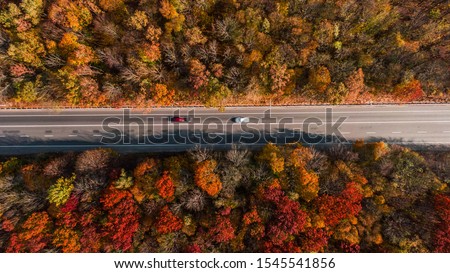 Aerial view of the road in beautiful autumn forest at sunset. Top view of perfect asphalt roadway, trees with orange foliage in fall. Colorful landscape with highway through the woodland. Travel Royalty-Free Stock Photo #1545541856