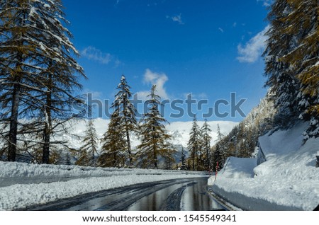 Street in the middle of snow