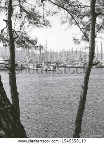Vintage Black and White Marmaris Marina Boats with Sea, Palm and Pine Trees
