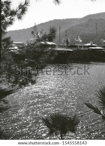 Vintage Black and White Marmaris Marina Boats with Sea, Palm and Pine Trees