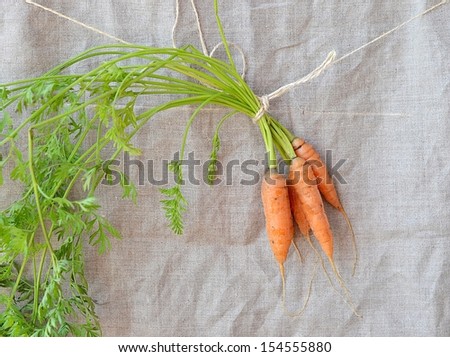 Fresh kitchen garden carrots on the wooden background