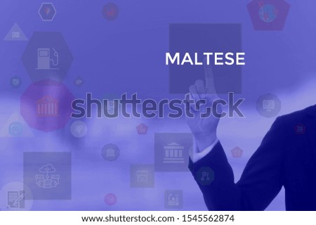 MALTESE - technology and business concept