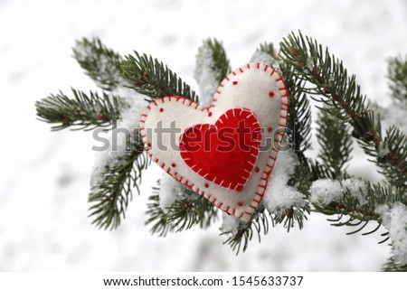Red heart on christmas tree branch with snow 