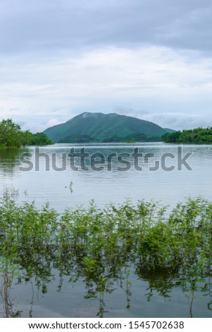 Lake have grass in water and mountain view