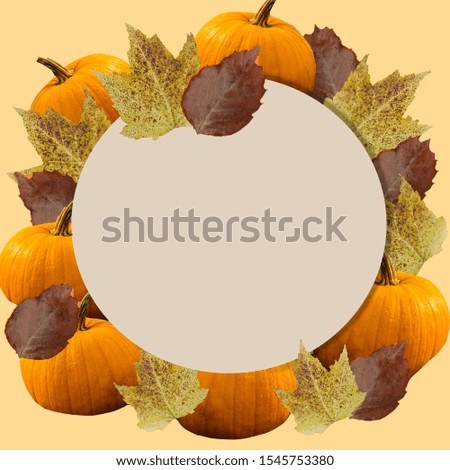 This is a picture of leaves and pumpkin that are elements of Thanksgiving in the autumn atmosphere