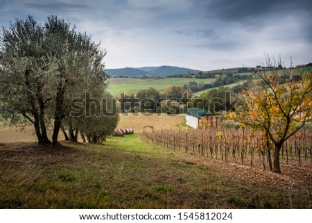 Trekking through the hilly area around the municipality of Pomarance in the province of Pisa, Tuscany, Italy