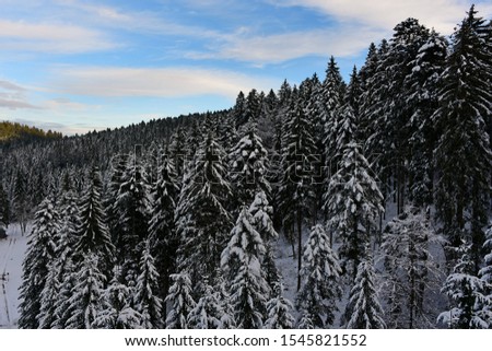 Pine forest covered with snow, sky and clouds background, winter in Switzerland.