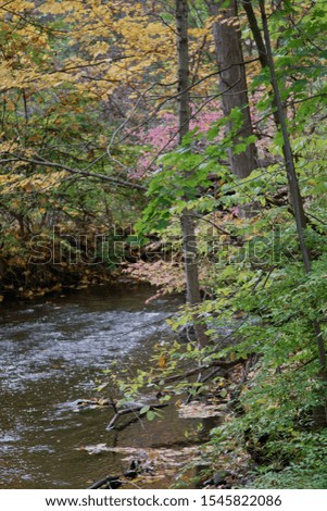 A creek in the fall season with fall leaves.