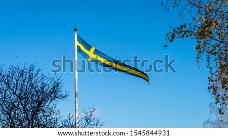 Swedish Flag on blue sky background.  Autumn view. Beautiful flag of Sweden waving on wind. Colorful leaves of trees in fall. Scandinavian travel. Symbols of Sweden, Stockholm