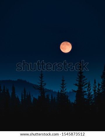 the moon rising over top of a forest on a calm summer night with a a dark blue sky and the silhouette of a forest in the foreground