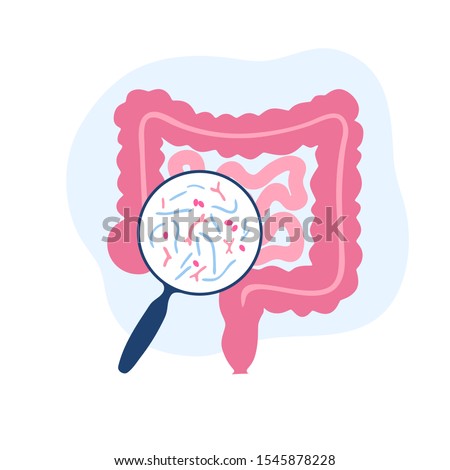 Vector isolated illustration of human microbiota. Probiotics - good beneficial bacteria. Lactobacillus, bifidobacteria, streptococcus, intestine icon. Medical infographics  Royalty-Free Stock Photo #1545878228