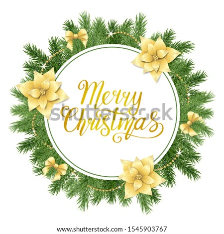 Beautiful circle frame with realistic spruce branches, decorative golden chain, hand drawn text Merry Christmas isolated on white background; Vector template with green fir tree twigs and poinsettia