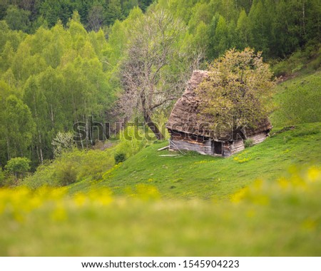 Landscape in Apuseni Mountains, Transylvania, Romania. They belongs to the Western Romanian Carpathians.
