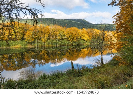 Beautiful Trees displaying fall. autumn colors and reflection in the water.