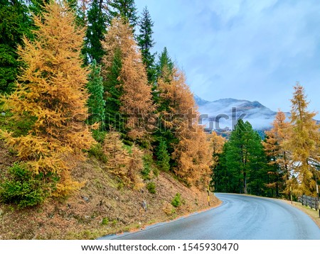 Beautiful autumn colors in Soelden , Otztal , Tyrol, Austria . Glacier Road .