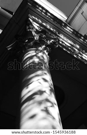A pillar in black and white with leaf shadows on it.