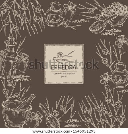 Background with ephedra: schisandra branch of chinese ephedra, berries, soap and bath salt . Cosmetic and medical plant. Vector hand drawn illustration