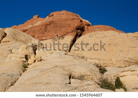 Two rock climbers descend a sheer cliff of Aztec Sandstone at Red Rock Canyon National Conservation Area in Nevada