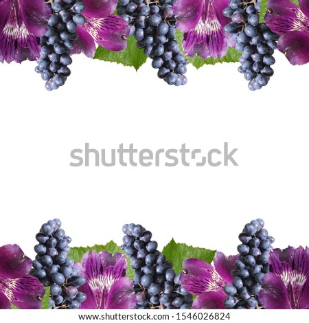 Beautiful floral background of Alstroemeria and grapes. Isolated