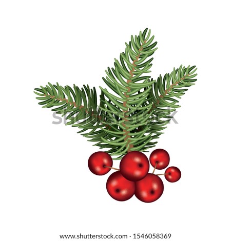 happy merry christmas tree branch and berries vector illustration design