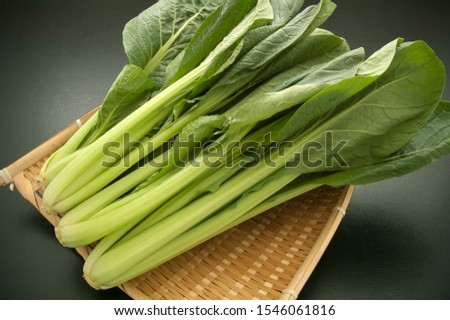 This is a picture of Japanese mustard spinach. In Japan, this is called Komatsuna.