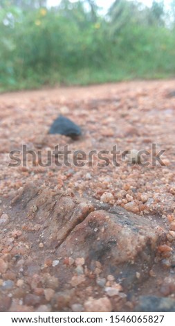 A black coloured insect scrolling towards me in rough sand road hd
