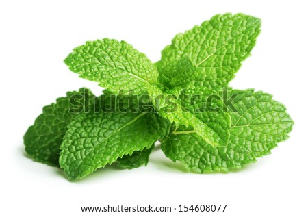 Fresh raw mint leaves isolated on white background Royalty-Free Stock Photo #154608077