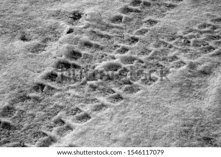 Car tyre prints in snow in black and white. Seasonal background and texture for design.