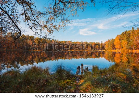 Autumn lake in forest at calm fall morning with trees reflections in still water