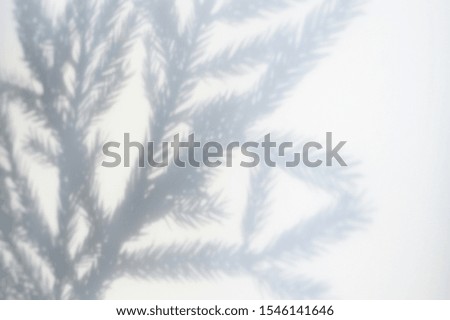 blurred shadow from a christmas tree branch on a white-gray background of a textured surface of a wall or table. space for text