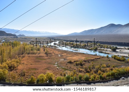 Indus river and fall foliage in Leh, Ladakh, India