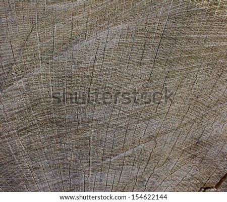 Fine grain wood abstract background texture