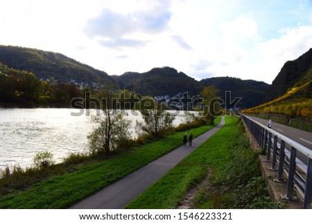 mosel valley in autumn, between Cochem and Valwig