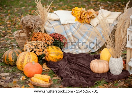 Autumn decoration for photo session