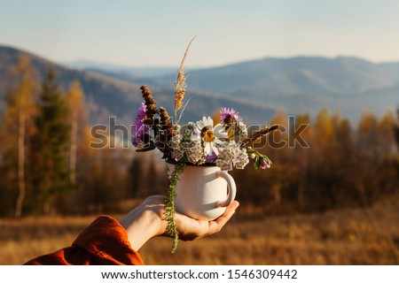 Girl or a woman in the velvet shirt holds in her hand a bouquet of wildflowers in a white camping mug. Nice landscape with autumn mountains. 