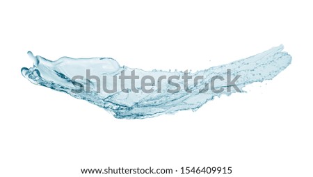  water isolated tree on white background