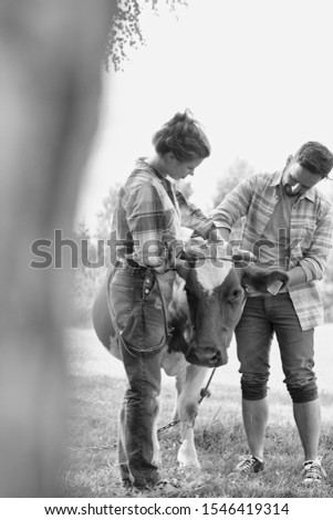 Black and white photo of male and female farmers checking on his herd and rubbing a healthy organic cow on a farm
