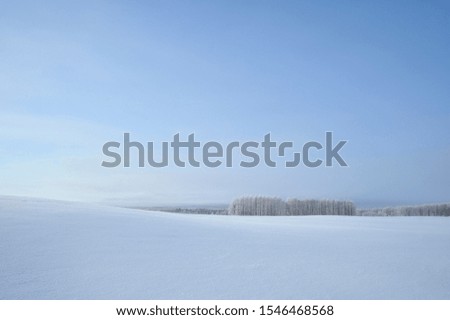 Snowfield in Hokkaido in the morning.
