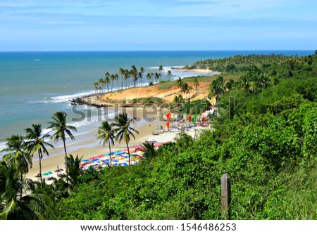 View of the famous beach of Lagoinha in Brazil